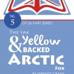 YELLOW BACKED ARCTIC FOX 